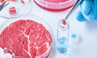 Лабораторный анализ пищевых продуктов по СанПиН в Ахтубинске в октябре