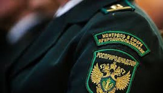 Подготовка к проверке Росприроднадзора в Ахтубинске от ПромМир-Хтб, стоимость услуги от 20710 руб.